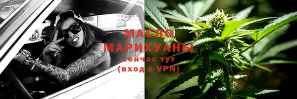 ECSTASY Пересвет