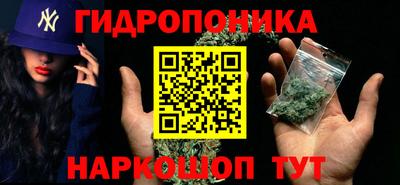 стафф Обь